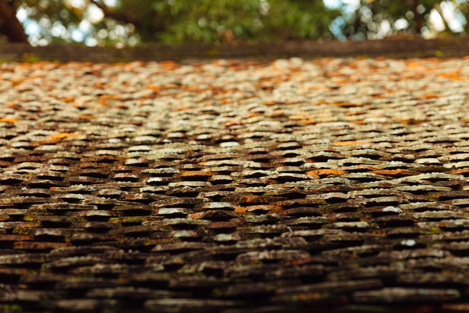 Detailed image of a weathered tile roof covered in lichen, showcasing rich textures and earthy tones.